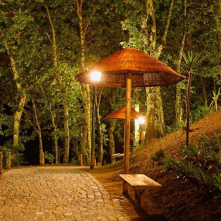 Vila Quinta Da Costa Vila da Lixa Exteriér fotografie